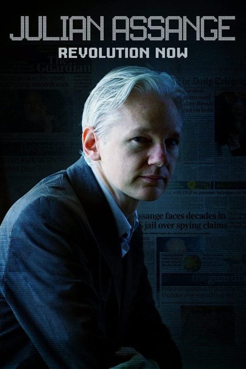 Plakát Julian Assange - padouch, nebo hrdina?