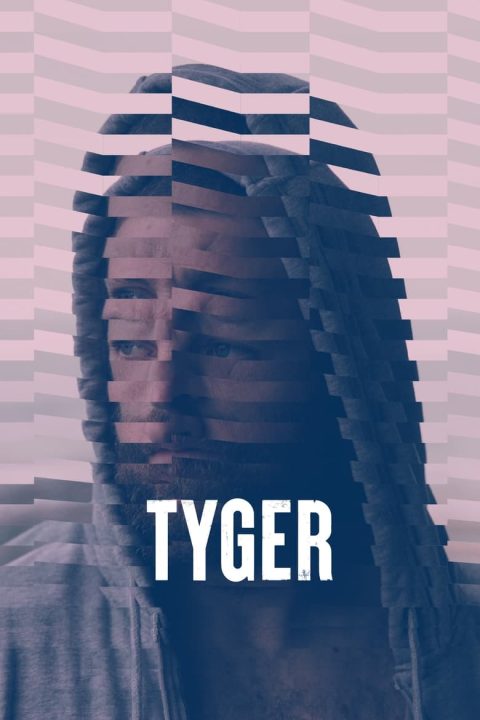 Plakát Tyger
