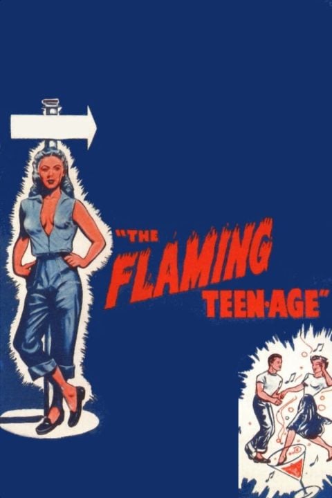 Plakát The Flaming Teenage