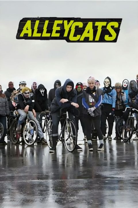 Plakát Alleycats