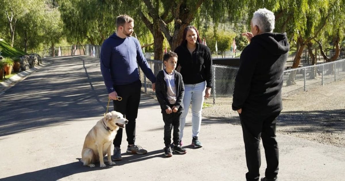 Cesar Millan: Jaký pán, takový pes