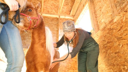 Dr. Oakley, Yukon Vet - 5. epizoda