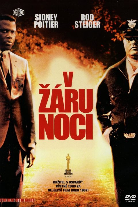 V žáru noci