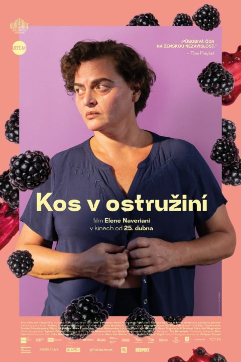 Kos v ostružiní