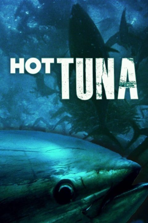 Plakát Hot Tuna