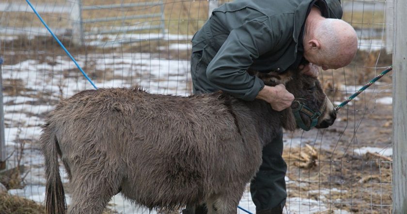 The Incredible Dr. Pol