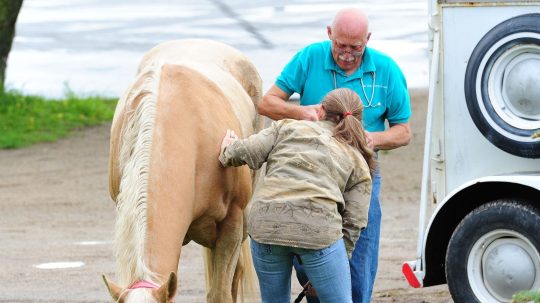 The Incredible Dr. Pol - 3. epizoda