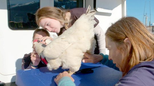 Dr. Oakley, Yukon Vet - 10. epizoda