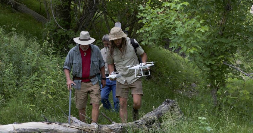 Mystery at Blind Frog Ranch