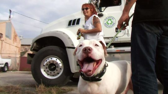 Pit Bulls and Parolees - 16. epizoda