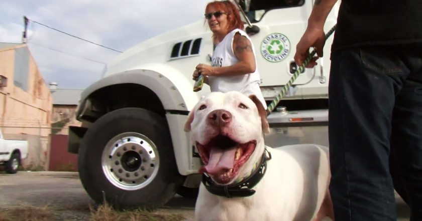 Pit Bulls and Parolees