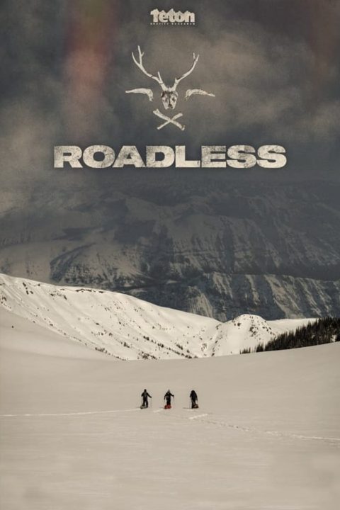 Plakát Roadless