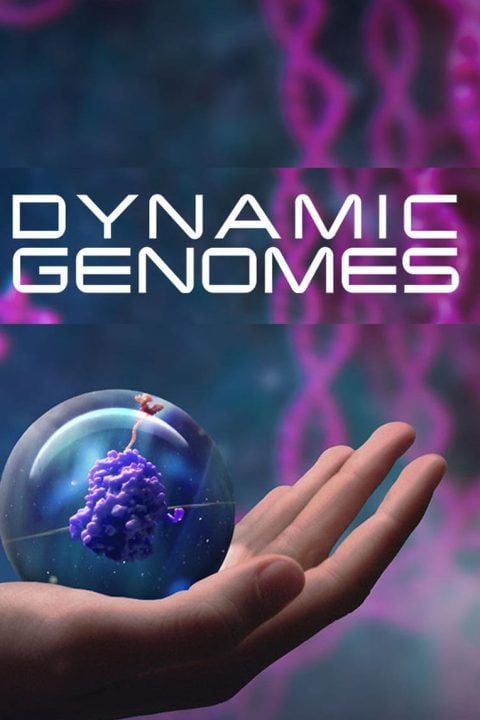 Plakát Dynamic Genomes