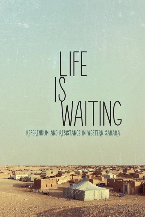 Plakát Life Is Waiting: Referendum and Resistance in Western Sahara