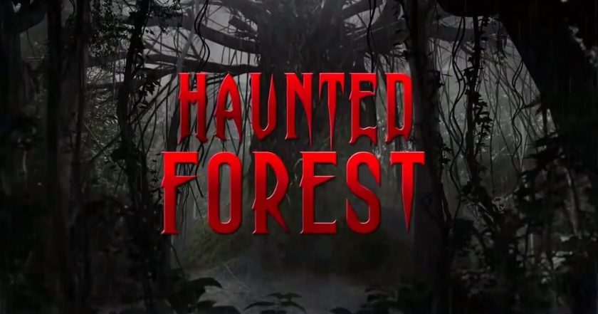 Haunted Forest