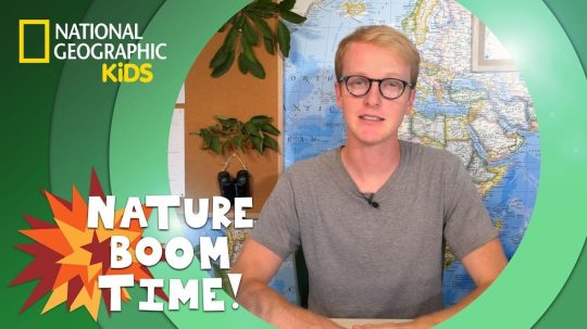 Nature Boom Time - 3. epizoda