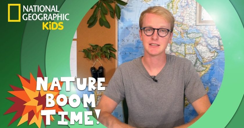 Nature Boom Time