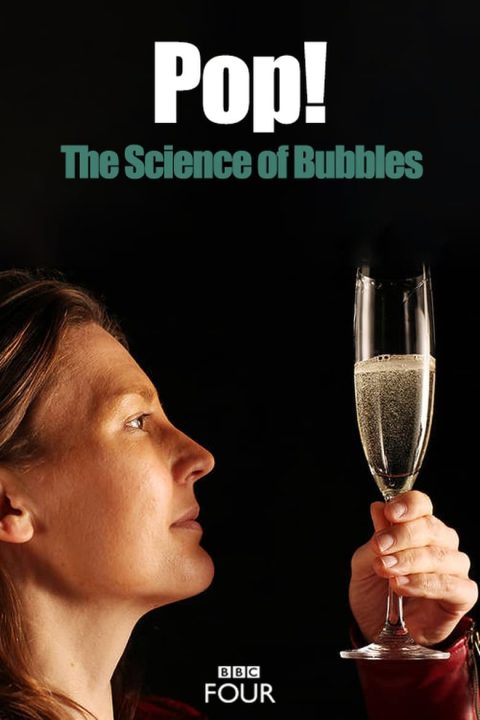 Plakát Pop! The Science of Bubbles