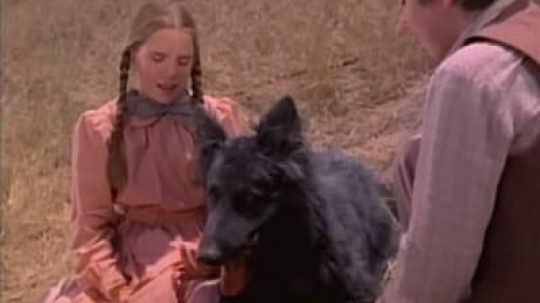 Little House on the Prairie - 5. epizoda