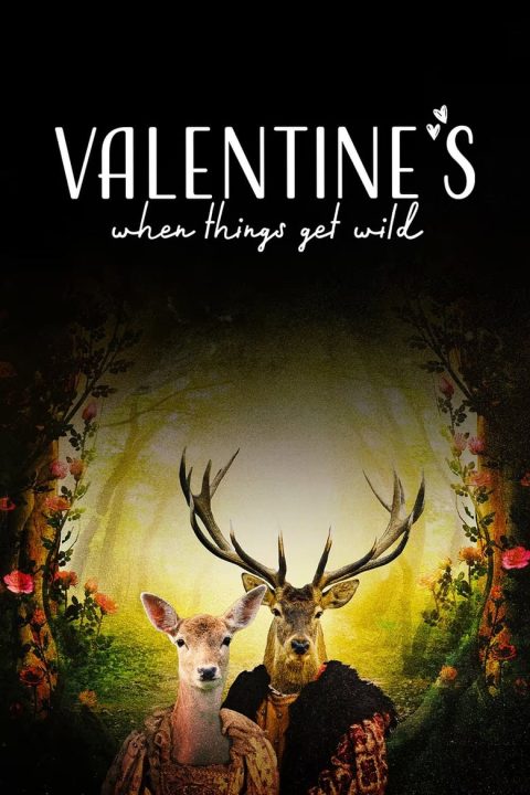 Valentine's: When Things Get Wild