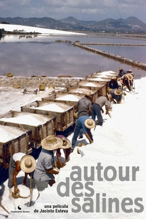 Plakát Autour des salines