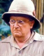 Don Estelle