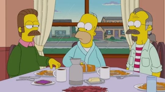 Simpsonovi - Pěst na oko