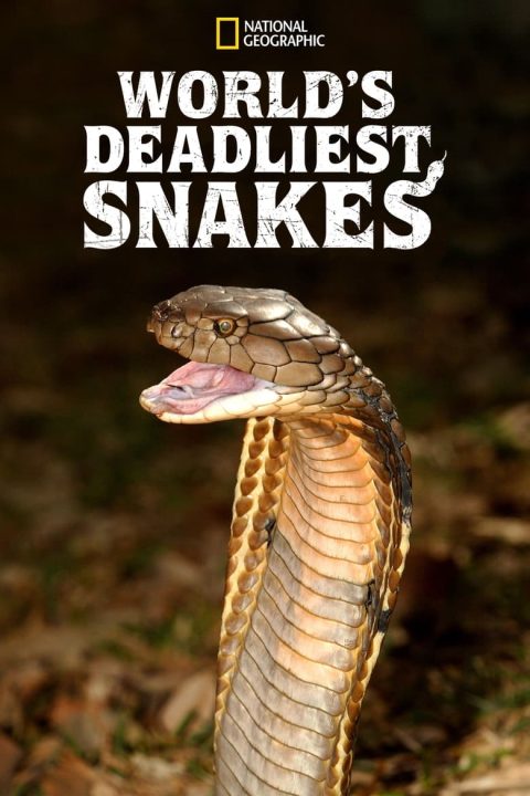 World's Deadliest Snakes