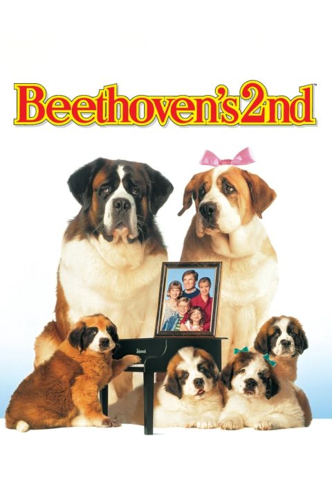 Beethoven II.