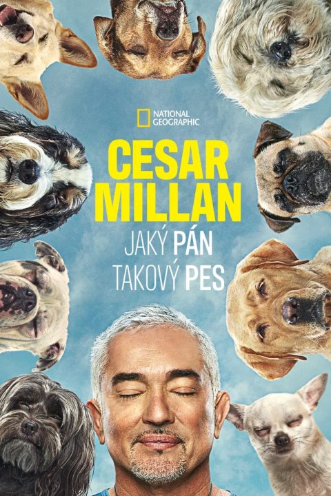 Plakát Cesar Millan: Jaký pán, takový pes