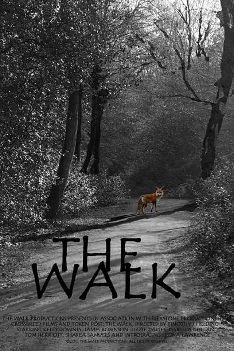 Plakát The Walk