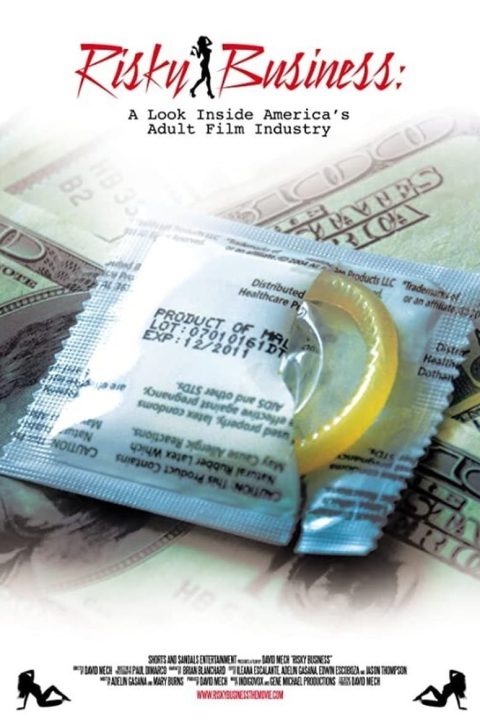 Plakát Risky Business: A Look Inside America's Adult Film Industry