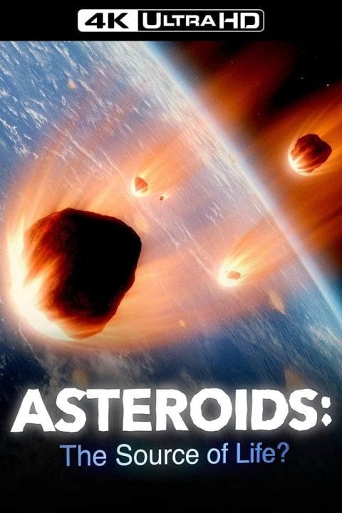 Plakát Asteroids: The Source of Life?