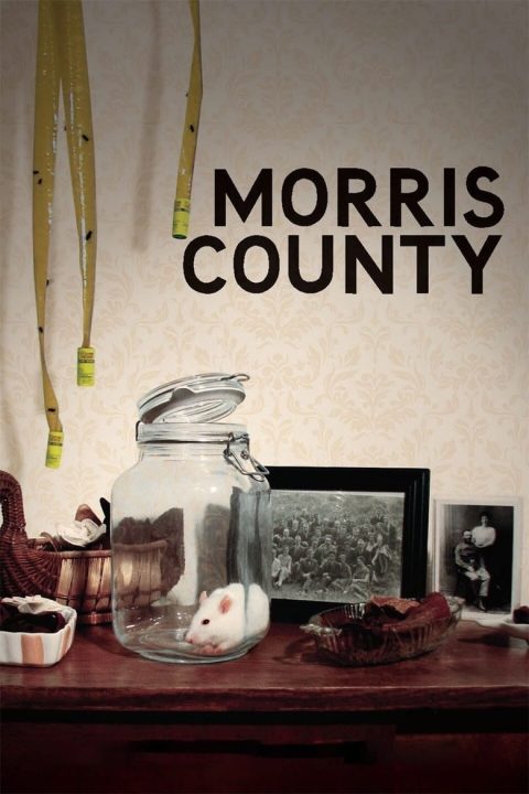 Plakát Morris County