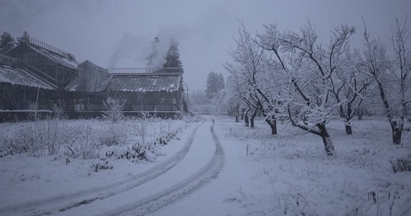 Історія зимового саду