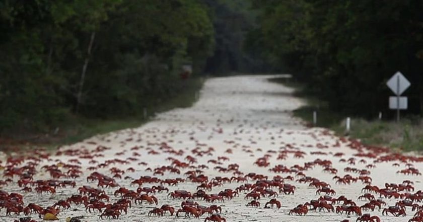 Island of the Hungry Ghosts