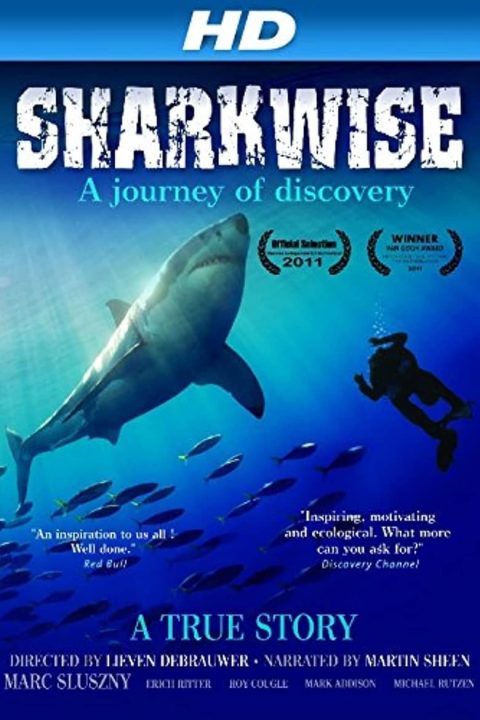 Plakát Sharkwise