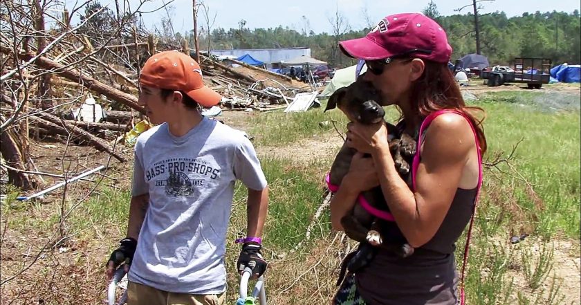 Pit Bulls and Parolees