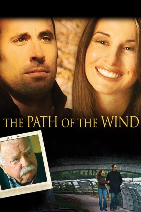 The Path of the Wind