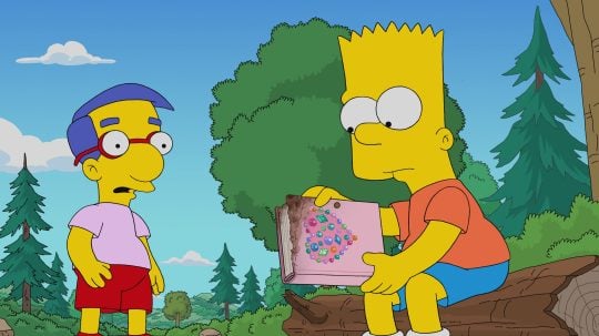 Simpsonovi - Deník učitelky