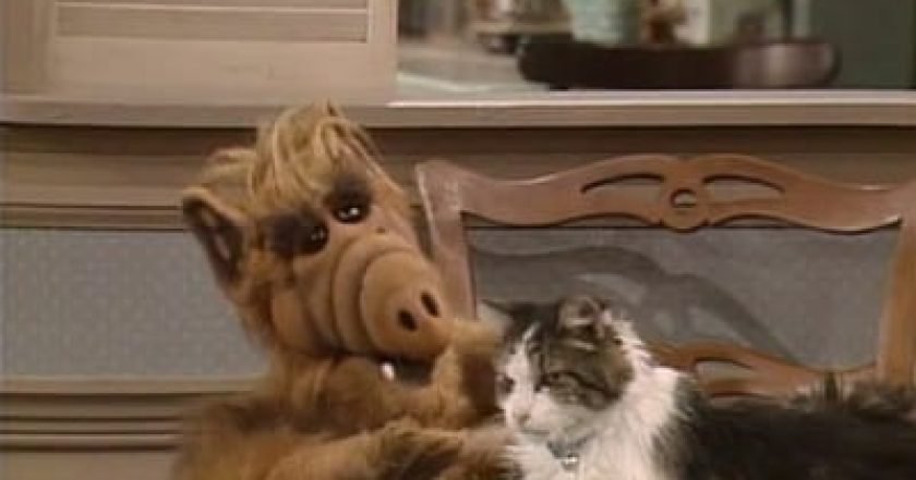 ALF