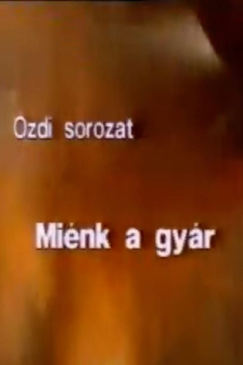 Miénk a gyár