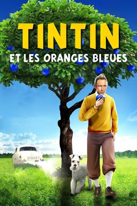 Tintin et les oranges bleues