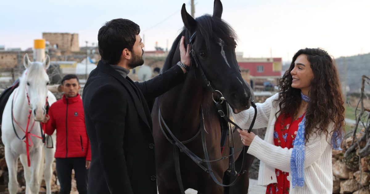 Hercai