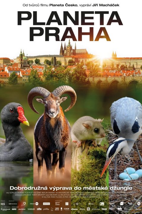 Plakát Planeta Praha