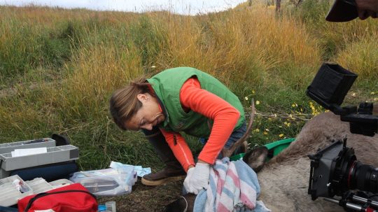 Dr. Oakley, Yukon Vet - 3. epizoda