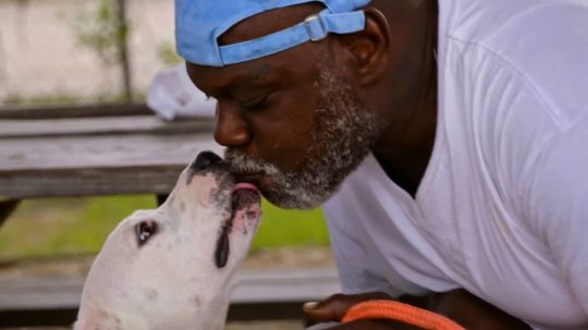 Pit Bulls and Parolees - 2. epizoda