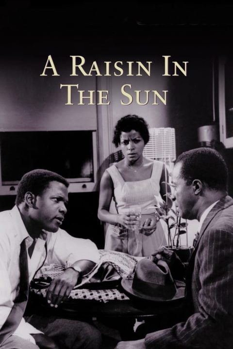 Plakát A Raisin in the Sun