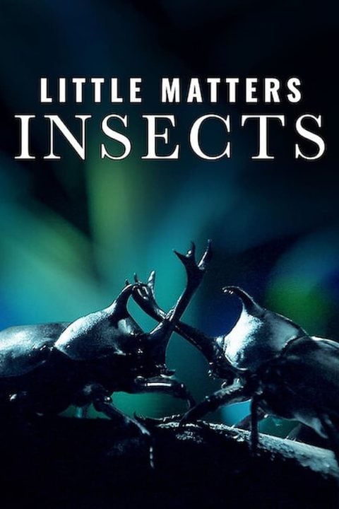 Plakát Little Matters: Insects