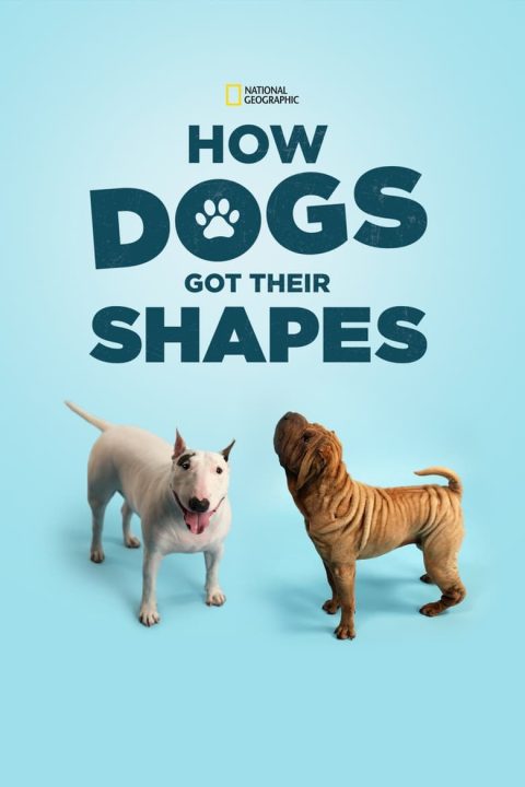 Plakát How Dogs Got Their Shapes